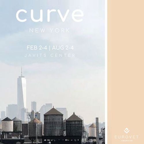 Curve New York February 2020