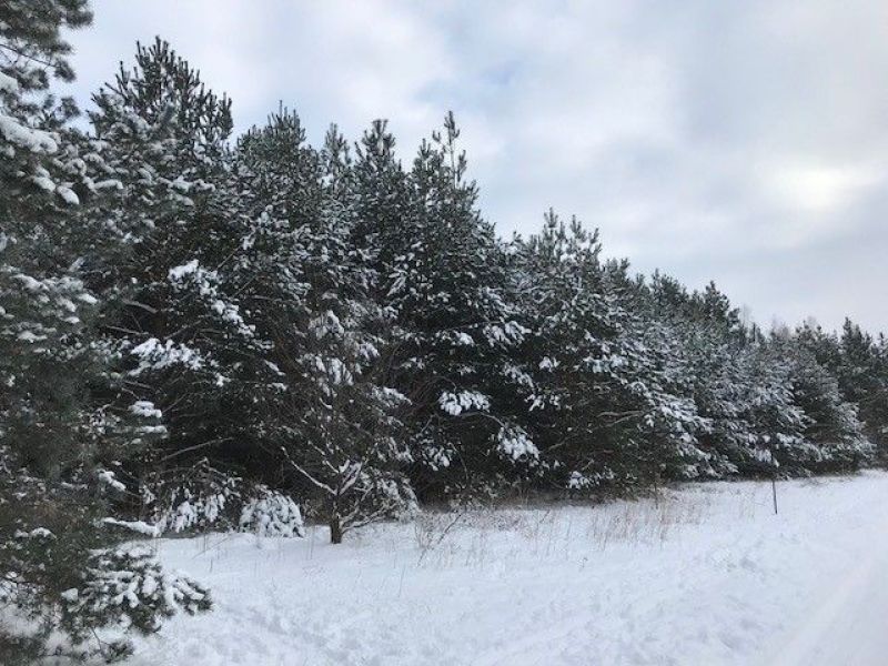 Click Here To Enlarge This Photo Of Poland Sales Visit January 2018